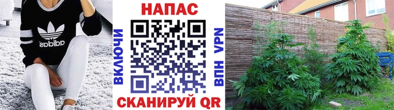 Виды наркотиков купить Тамбов АМФ  Alpha-PVP  ГАШ  Бошки Шишки  кракен рабочий сайт  Кокаин  Меф мяу мяу 