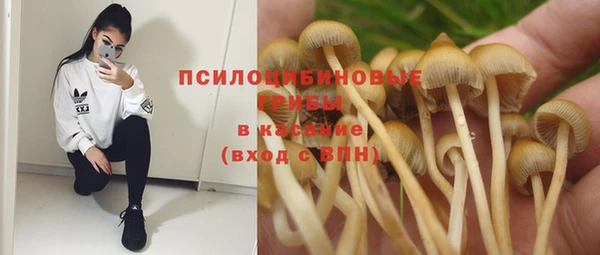 круглые Алзамай