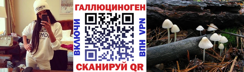 Псилоцибиновые грибы мицелий  hydra рабочий сайт  Тамбов 